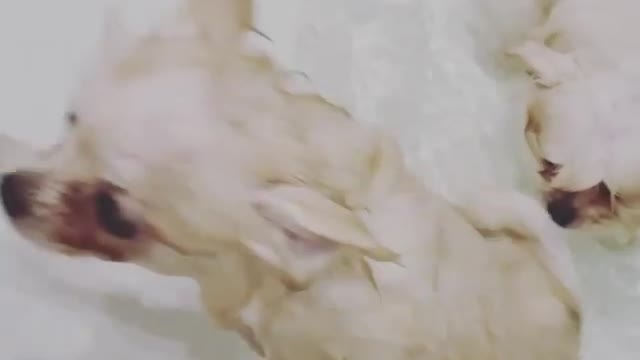 You need to wash your ass every day