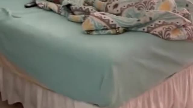 Sweet little girl wakes up her dad in the cutest possible way