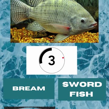 Fish Frenzy 3 A fast-paced quiz