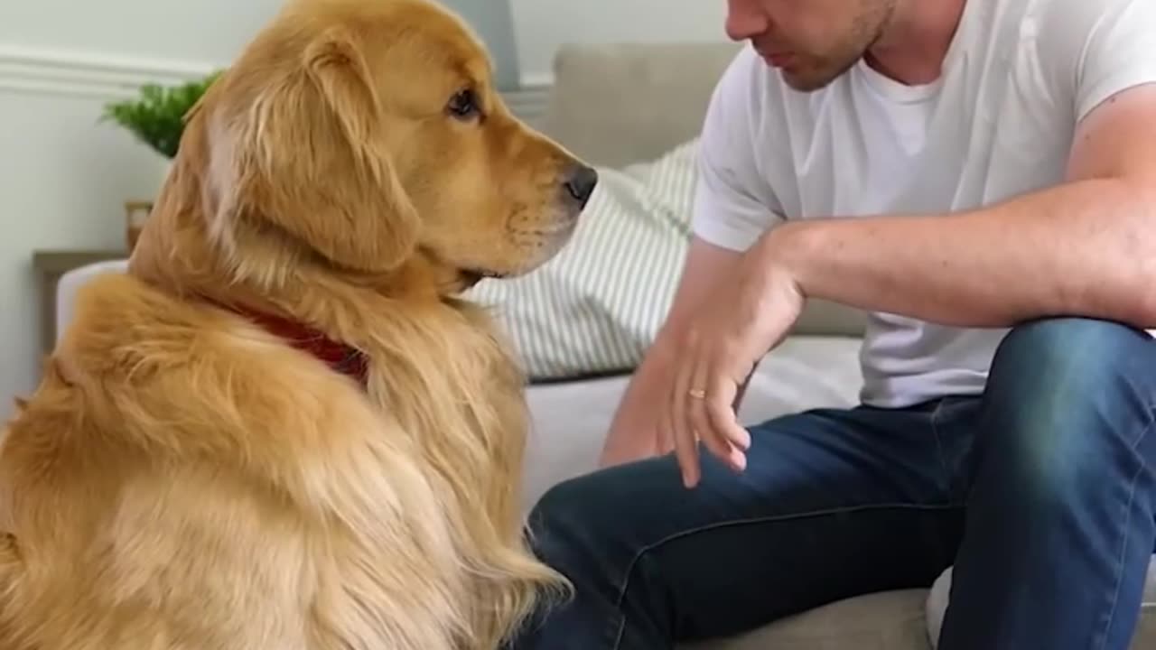 Life is even better with a pup