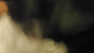 FIRST VIDEO!!