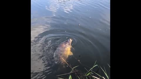 Fishing in Kuala Lumpur