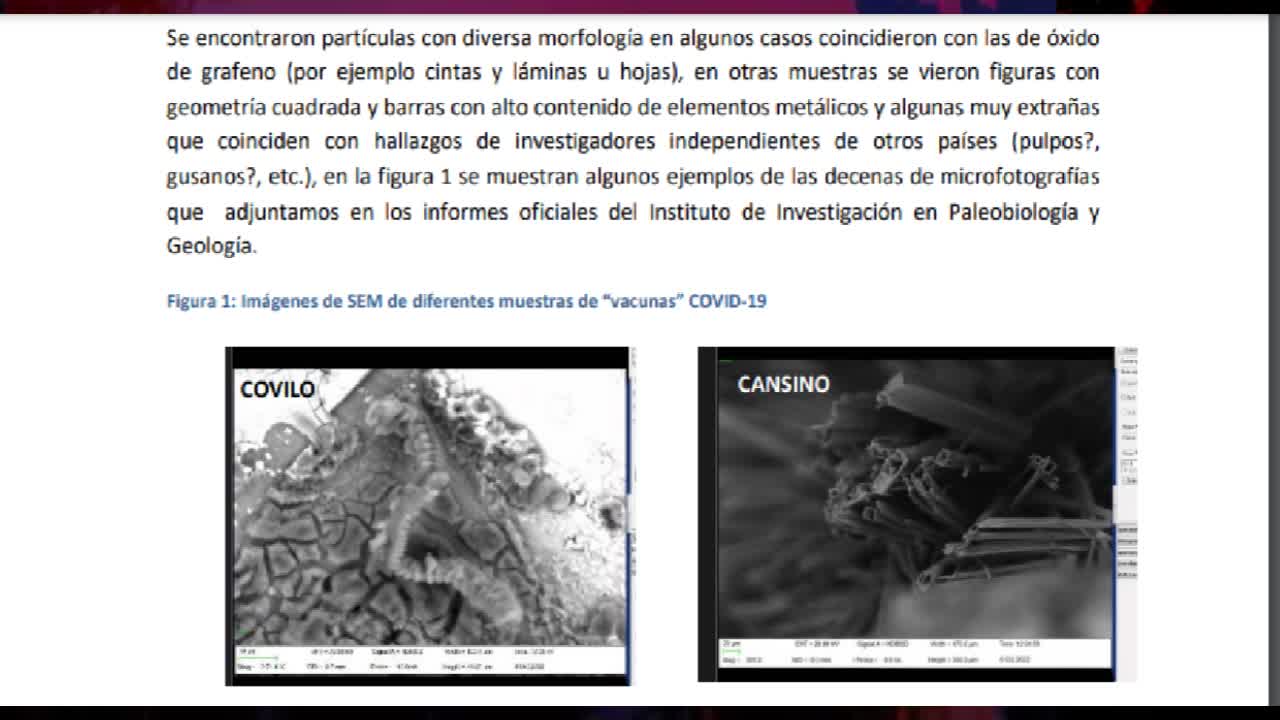 PAUSAR LEER! INFORME CONICET ANÁLISIS SOBRE VIALES DE LAS DENOMINADAS “VACUNAS” COVID-19