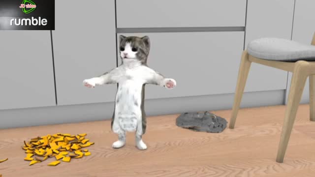 Noughty cat funny shorts video