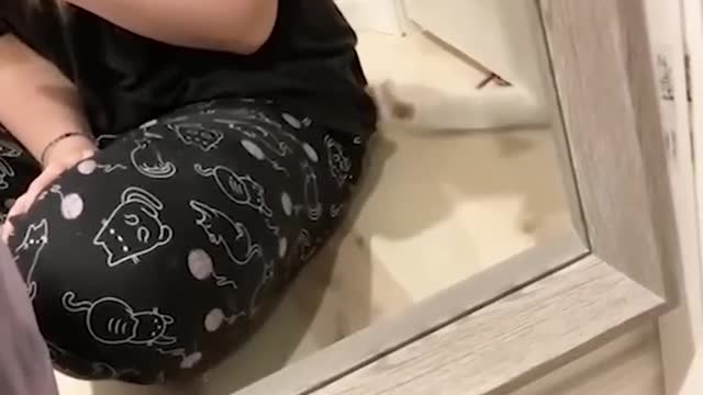 Things you can buy at IKEA for Rats