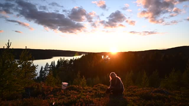 Swedish Forest life | In the Land of my Ancestors (4K video)