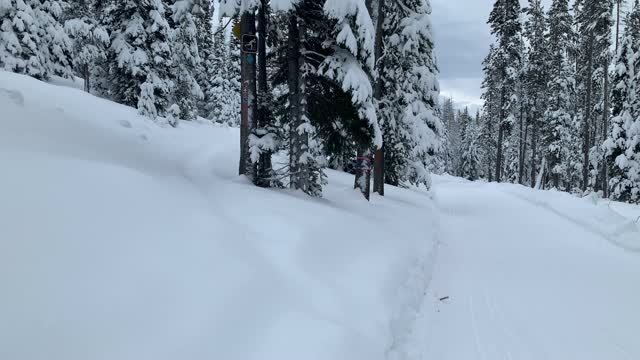 Junction with Snowmobile Trail – Central Oregon – Vista Butte Sno-Park – 4K