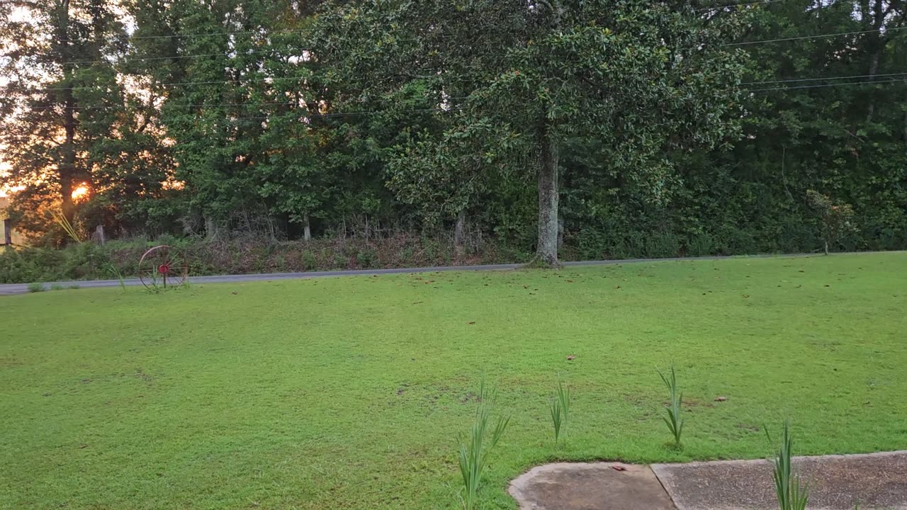 GSG Porch Report 070723