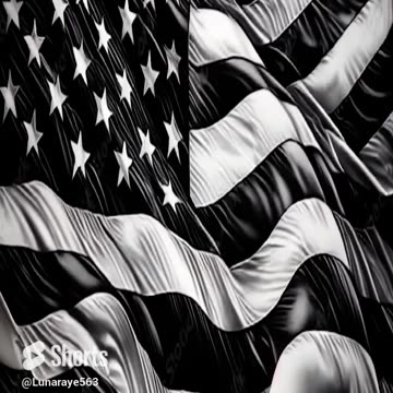 SPECIAL DEPUTY SHERIFF JOHN DAVIS: HAYS COUNTY SO, TX