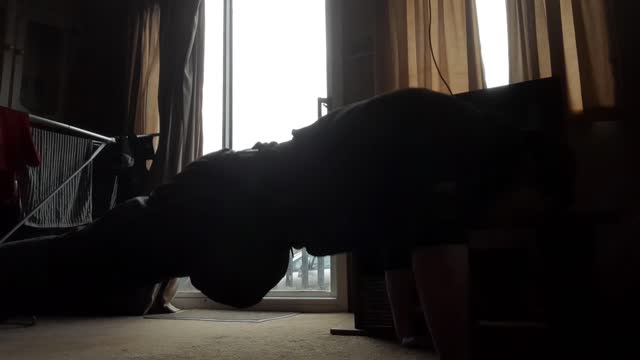Push Up Competition Day#2 3×20 (60)