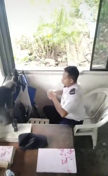 Just let me have the last bite