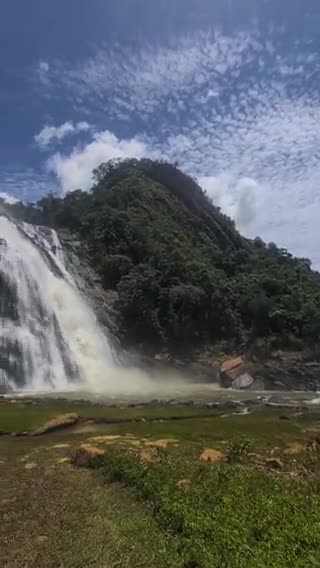 When life places stones in your path, be the water.