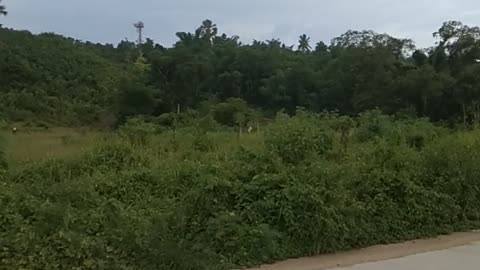 RIDING IN THE CEBU PHILIPPINES