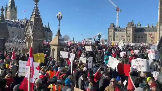 Ottawa mandate protest Jan. 29, 2022