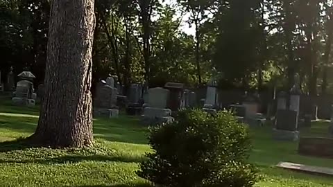 LONG GROVE CEMETERY "FREDDY KRUEGER" IS BURIED HERE