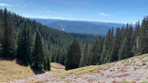 Oregon – Mount Hood – Admiring the Alpine Basin Below – 4K