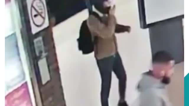 Woman pushed in front of train in Brussels Station