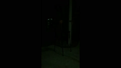 Frog Song