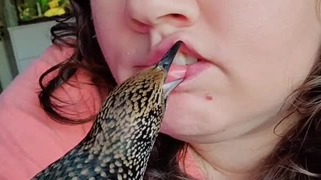 Is there something in teeth
