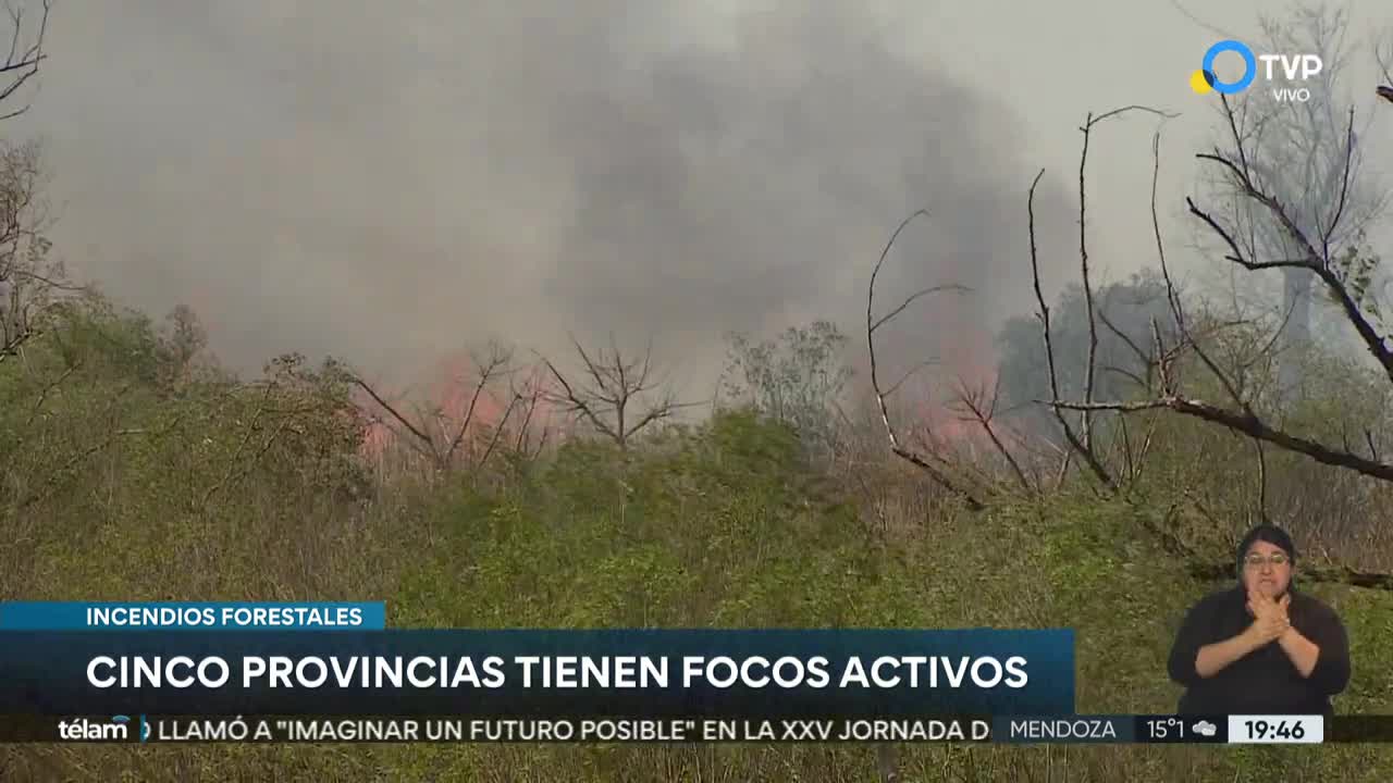 Cinco provincias registran focos activos de incendios forestales