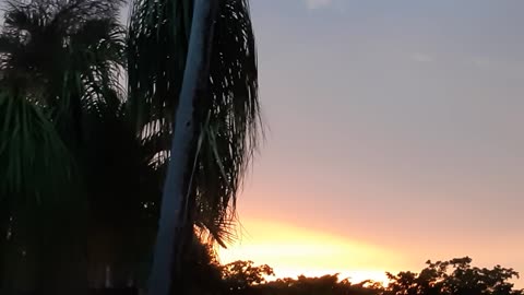 Atardecer En Miami 1 de Agosto 2021