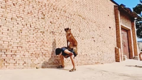 Entertainment video 🤣😲|funny video