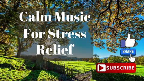 Relaxing Music | Sleeping, Meditation, Stress Relief | [6047] ⭐️