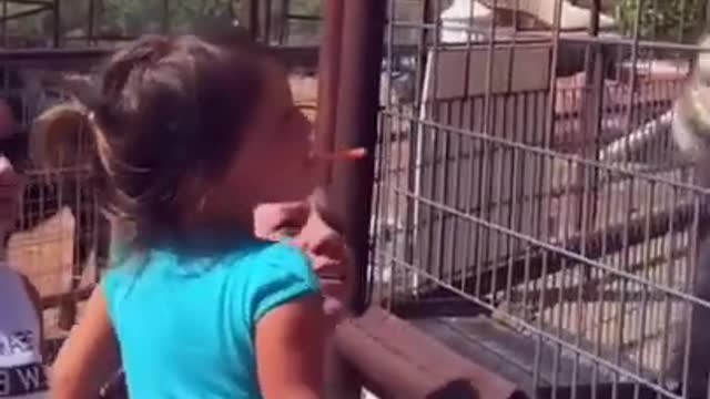 Funniest Baby at the Zoo 🐶😻 Funny Animals Reaction 😇 Try Not To Laugh 🤣 #shorts #01