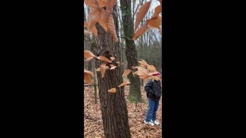 26: At a Nature Preserve (Part 2 of 2) - Geocaching with Bob, Charlie, Simon, and Dakota