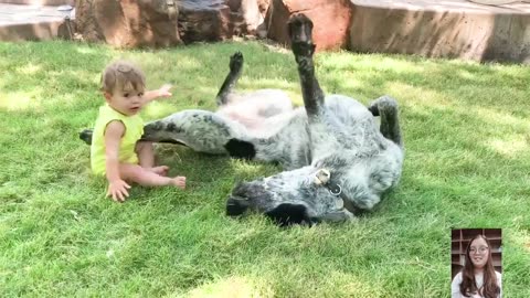 Adorable Babies Playing With Dogs Compilation - Funny Baby And Dog Videos __ Just Laugh