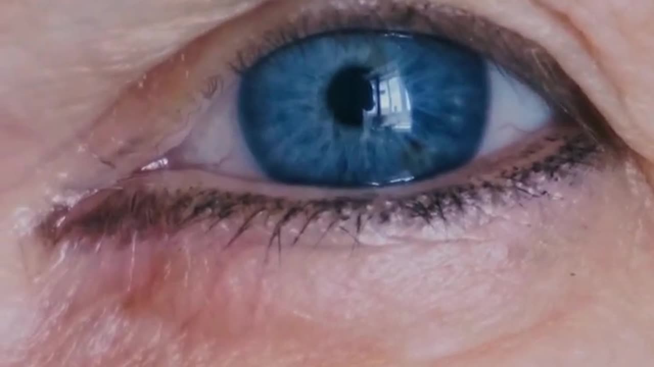 Do All Blue-Eyed People Have One Ancestor?