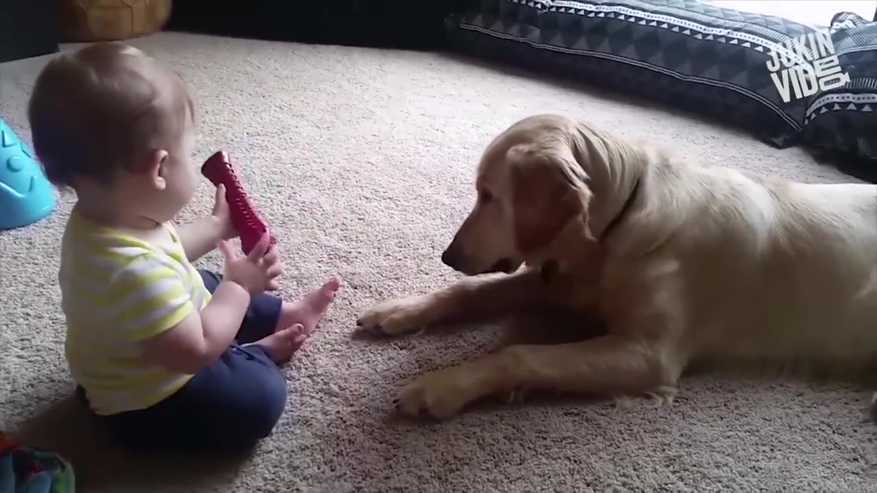 Cute Baby Playing With Dogs Compilation -