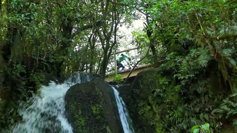 Nature and wildlife - North Island, New Zealand