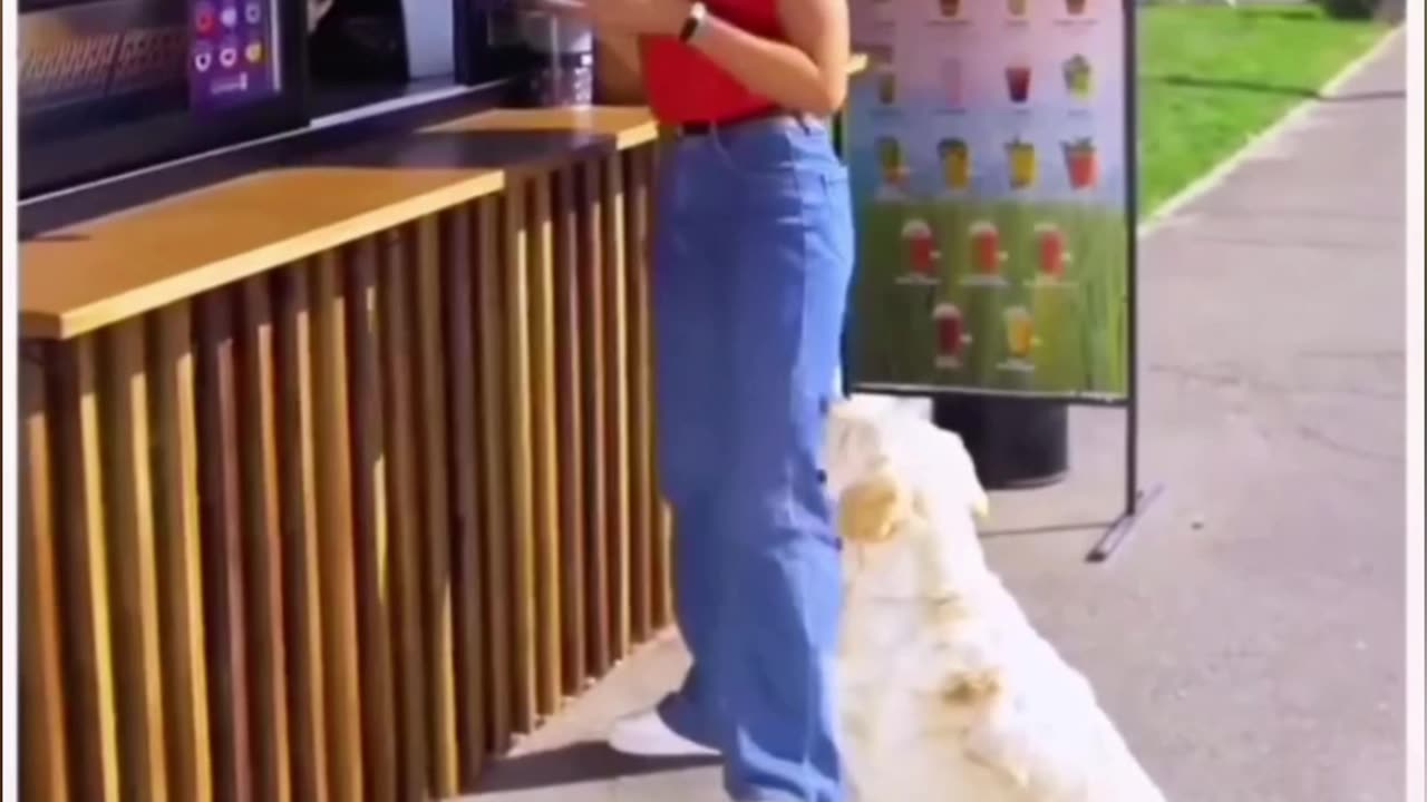 #shorts #shortsvideo #animals #rescue #rescue #animalrescue #dog #puppy
