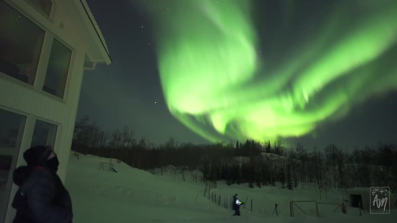 The aurora chase on Senja island - real-time northern lights