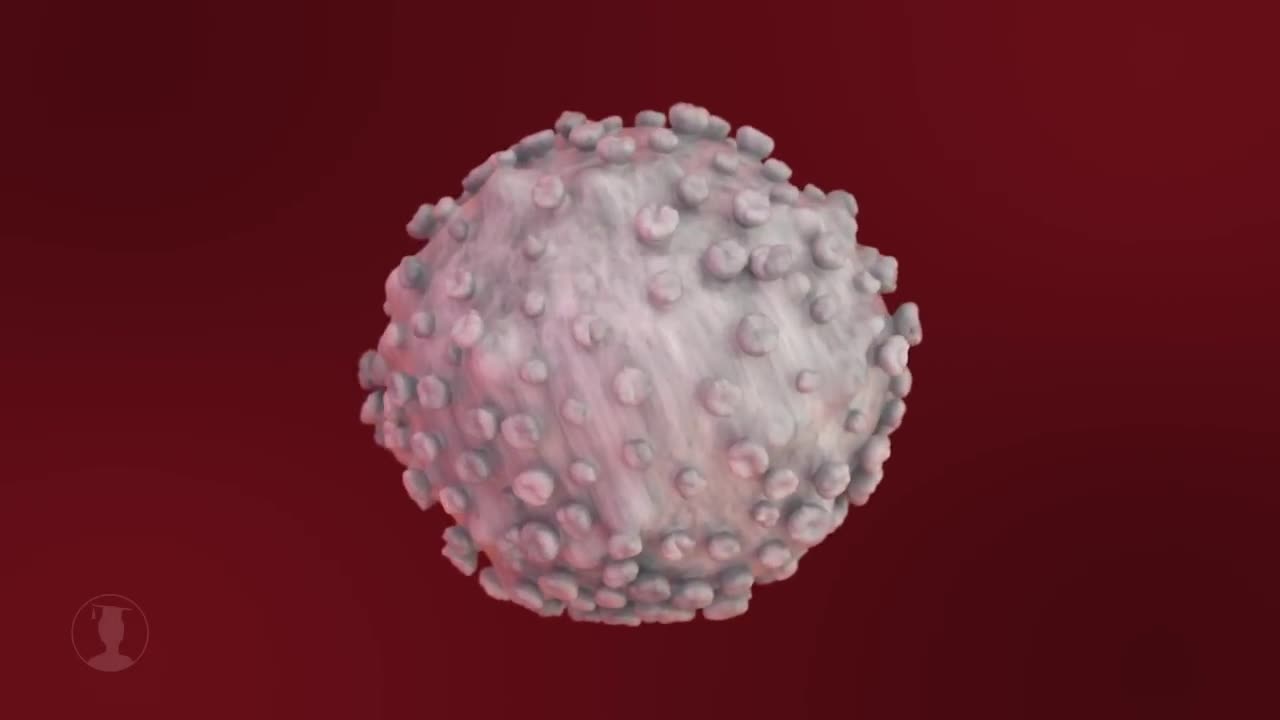 Human Immune System - How it works! (Animation)