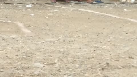 Look at their heads 😂