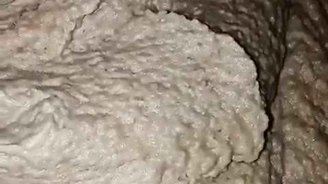 What Chicken Nuggets and Chicken Sandwiches are made from..