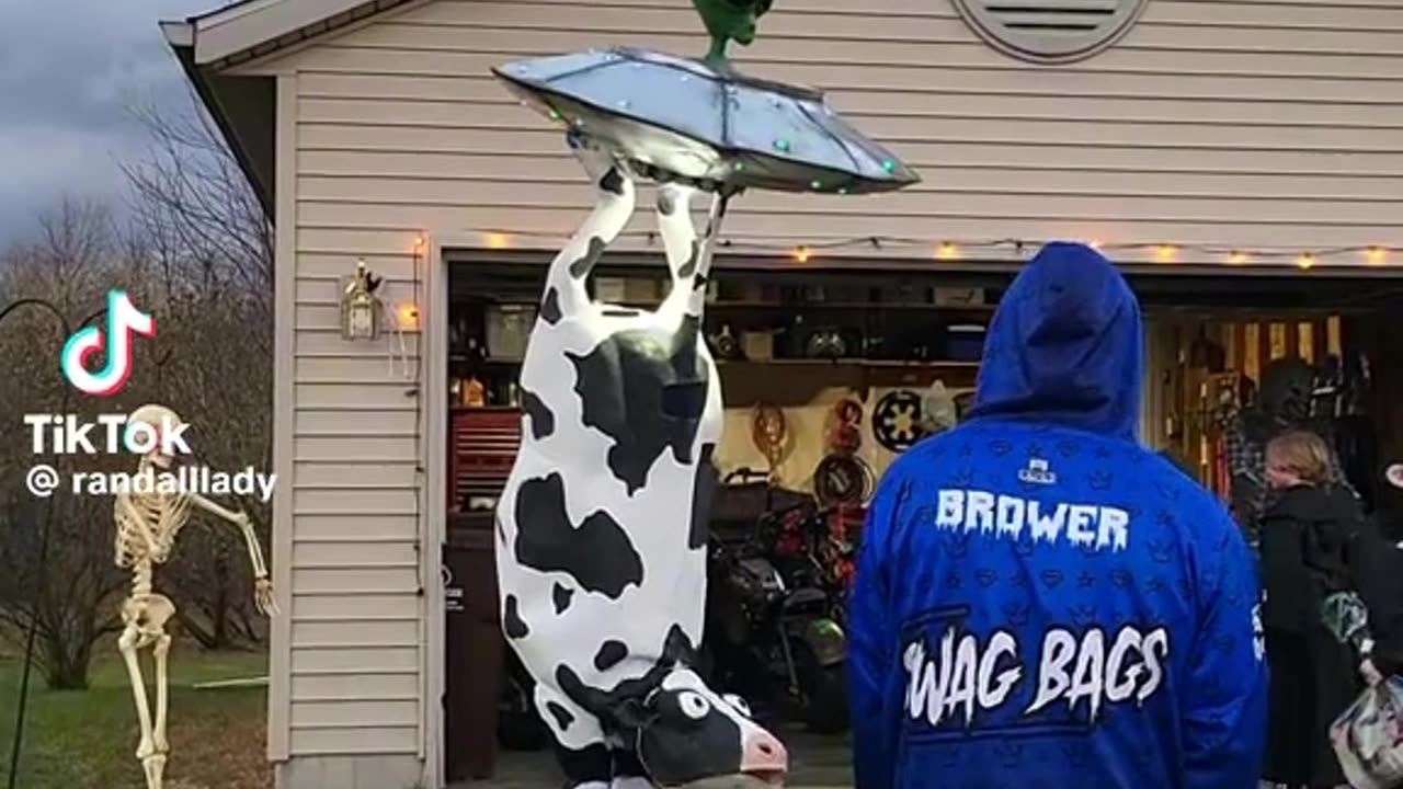 this costume deserves to win an award