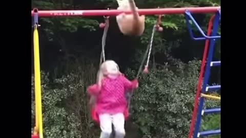 Funny Dog Fun 🤩 And Funny Cat 🐈 follow for more funny videos 🤣🤣🤣