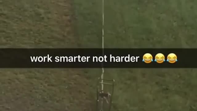 work smarter not harder