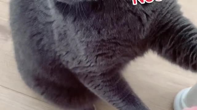Omg I jumped