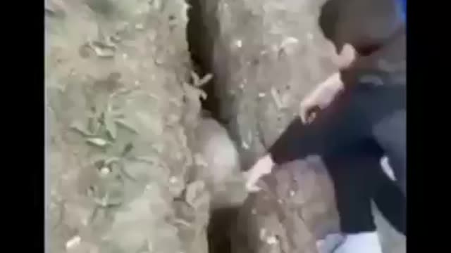 When you show the truth