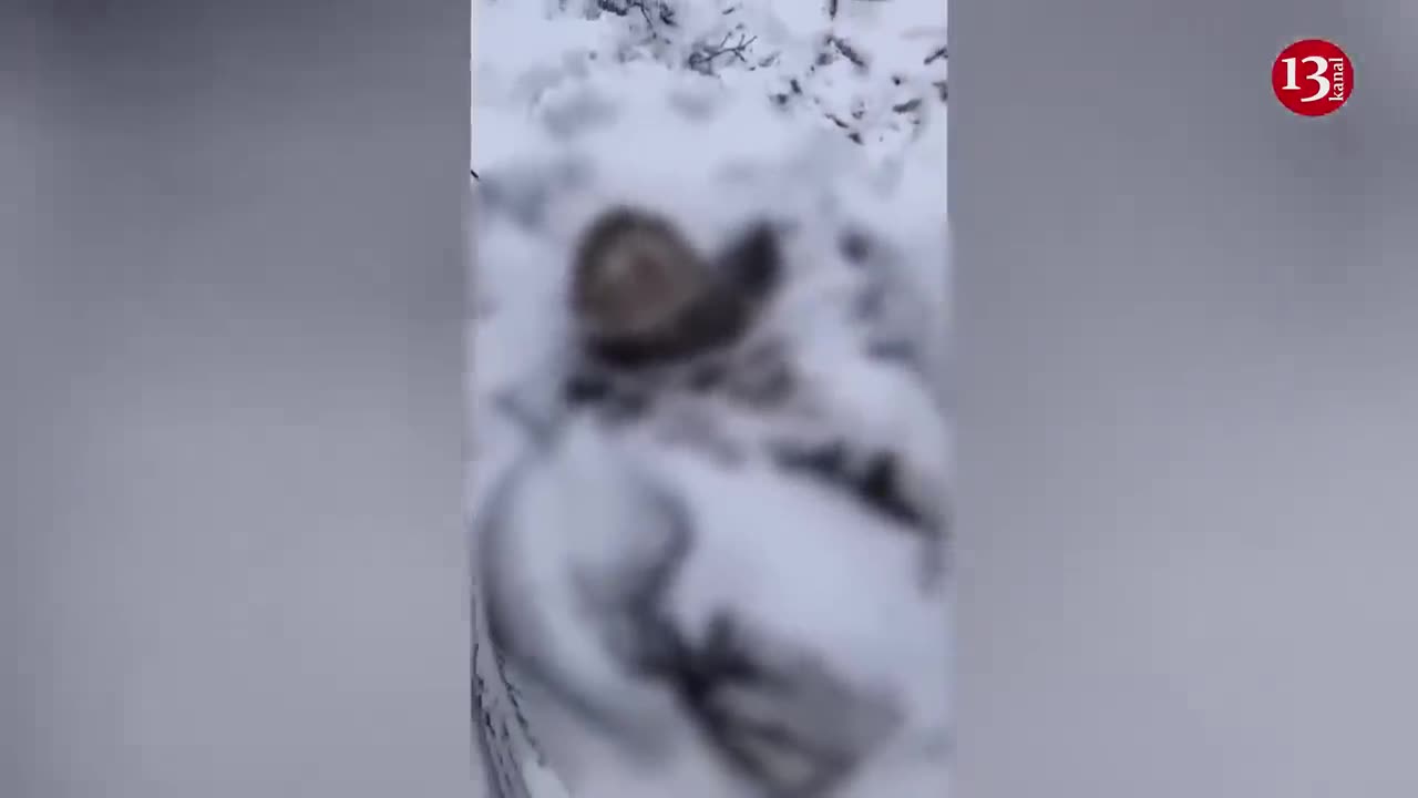 The remains of Russian sniper frozen under snow - "There was no one to take him”