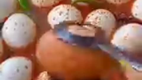 why do chinese people eat fertiliezed egg