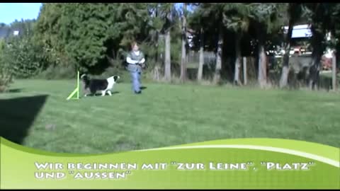 Do as I do - Mach's mir nach (Der Einstieg)