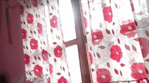 My Room in my village