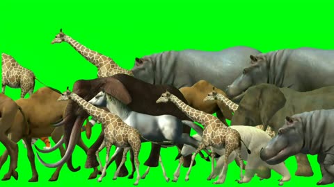 Cartoon Animal Stampede: Wild and Wacky Green Screen Adventure! 🐾💨