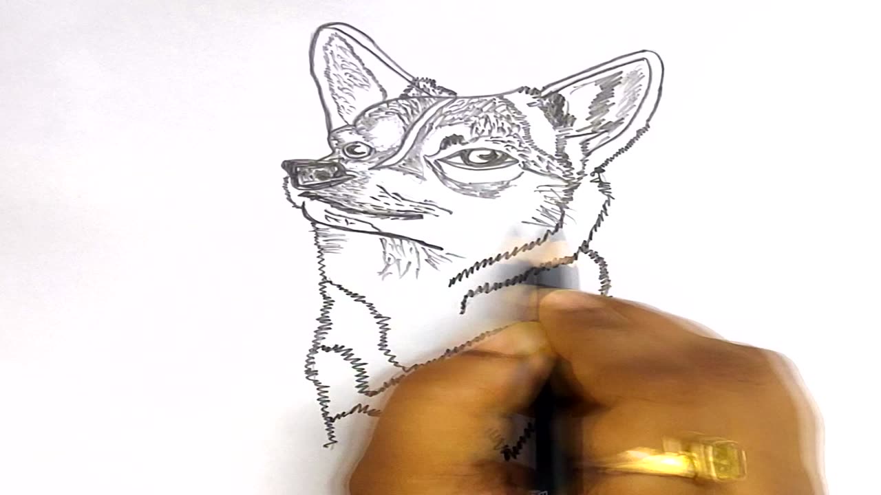 Simpel Dog drawing