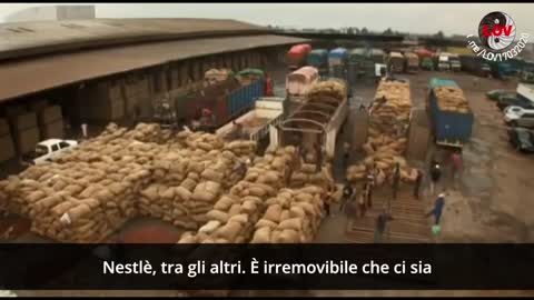 L'INDUSTRIA DEL CIOCCOLATO